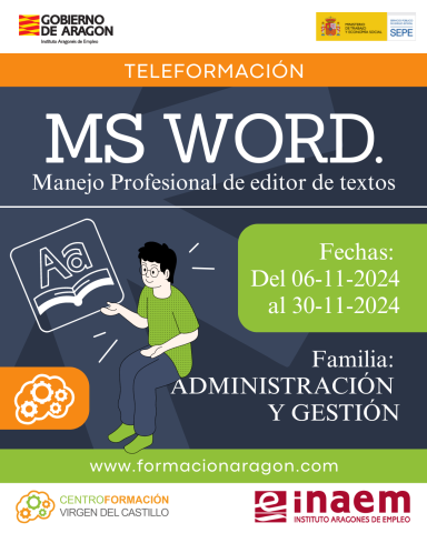 MS WORD. Manejo profesional de editor de textos: Edición y automatización de documentos